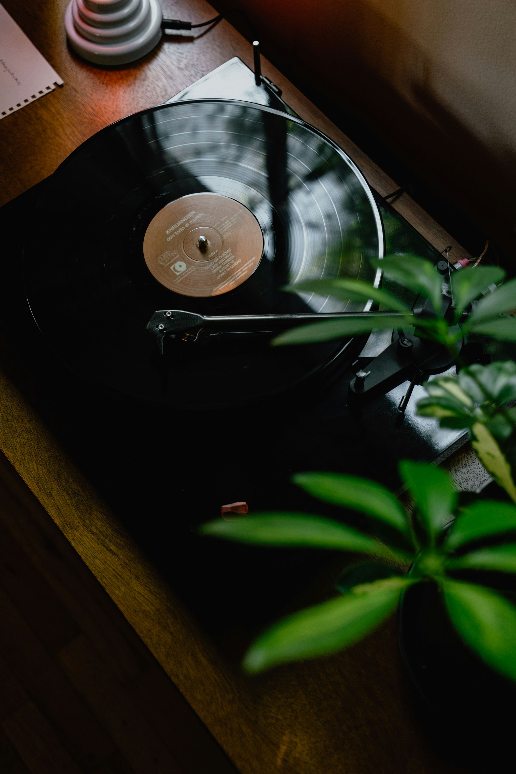 Ambiente acolhedor para ouvir discos e compartilhar histórias